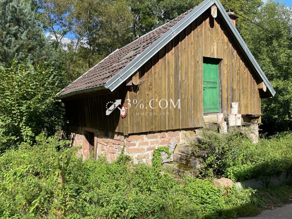 Farm i Sainte-Croix-aux-Mines, Haut-Rhin - foto 3