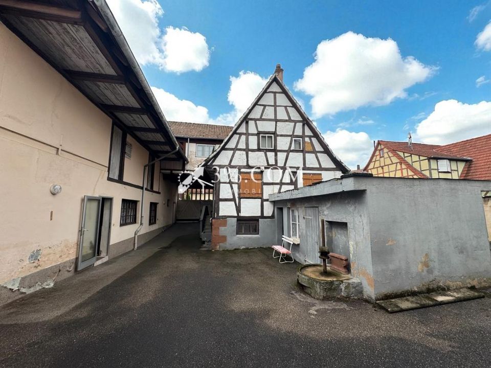 Villa i Alteckendorf, Bas-Rhin - foto 4