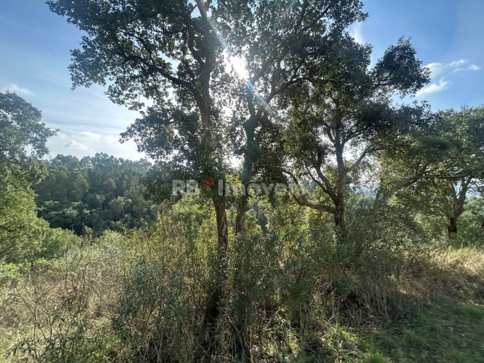 Helårsgrund i Tomar, Santarem - foto 1