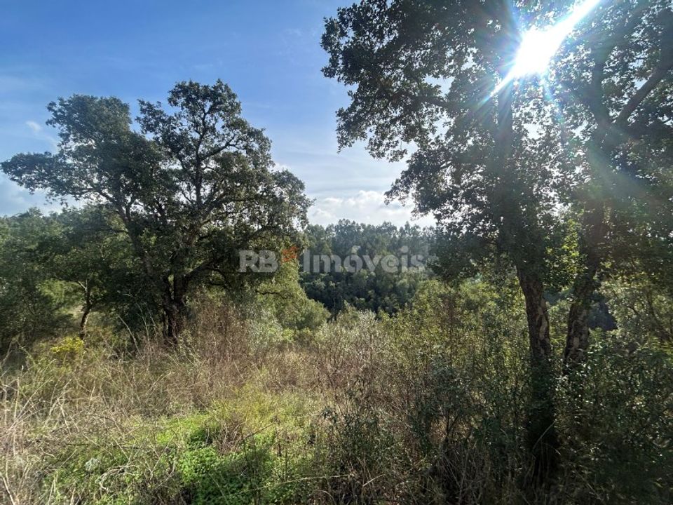 Helårsgrund i Tomar, Santarem - foto 5