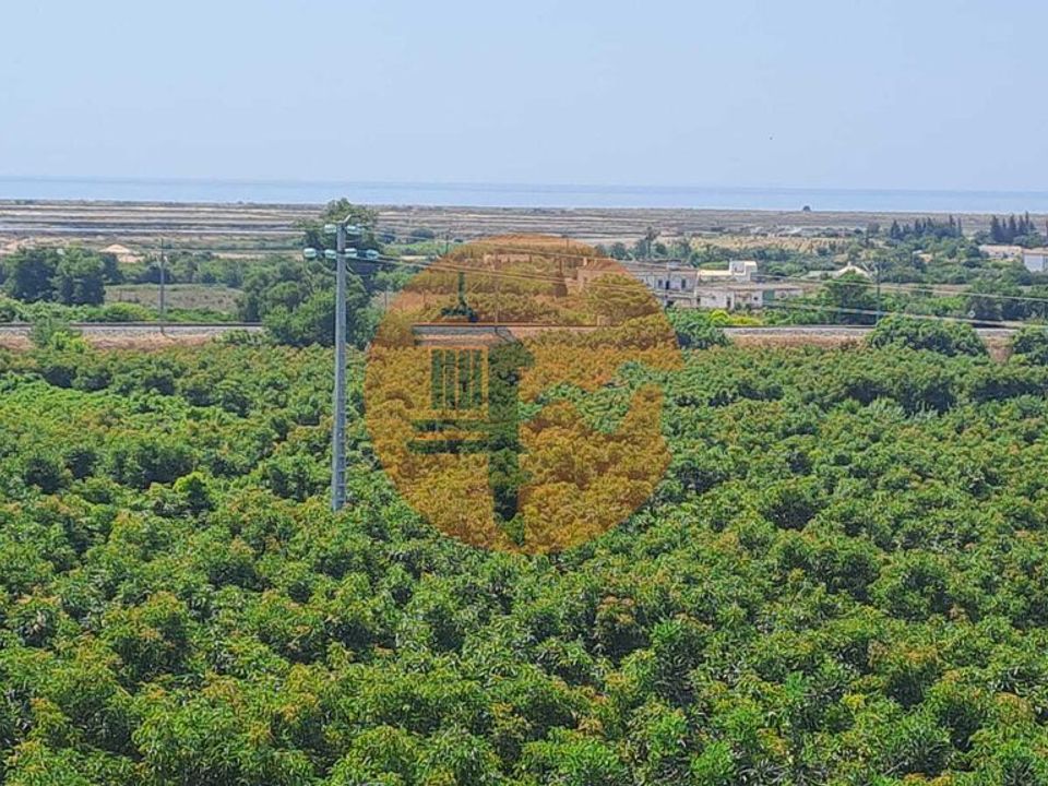 Lejlighed i Tavira, Faro - foto 5