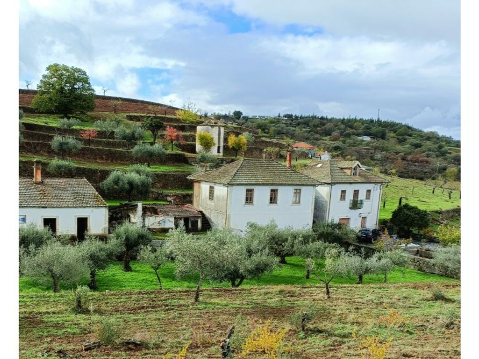 Farm i Vila Nova de Foz Coa, Guarda - foto 1