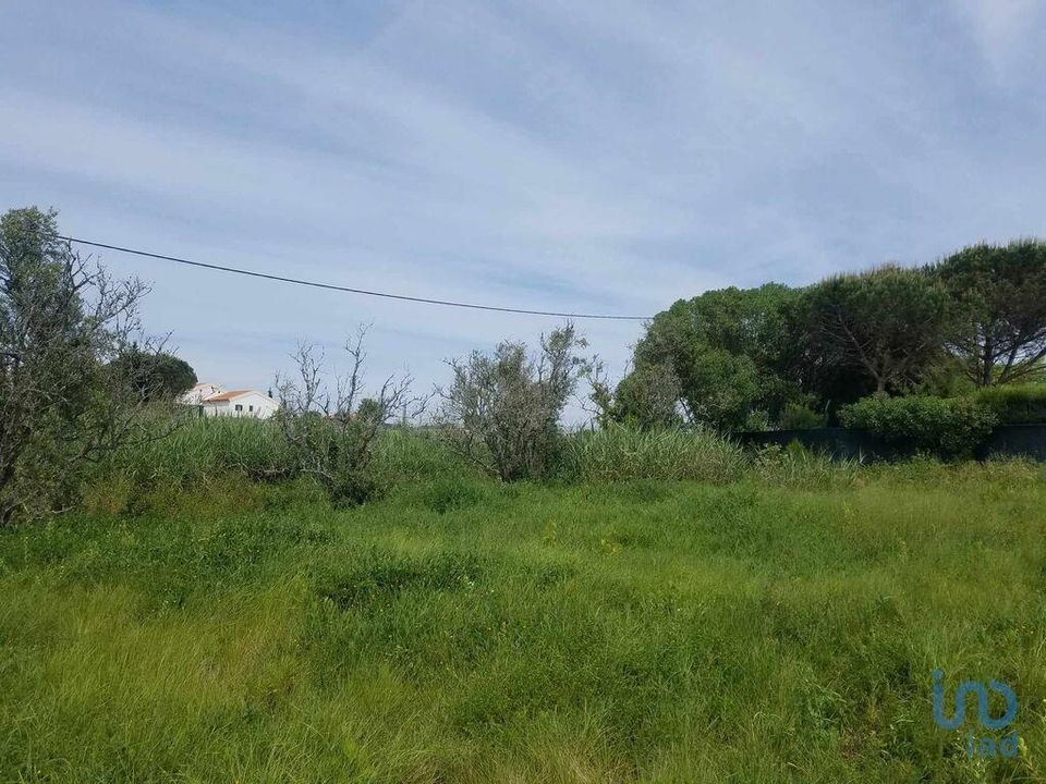 Tomt i Bombarral, Leiria - bilde 3