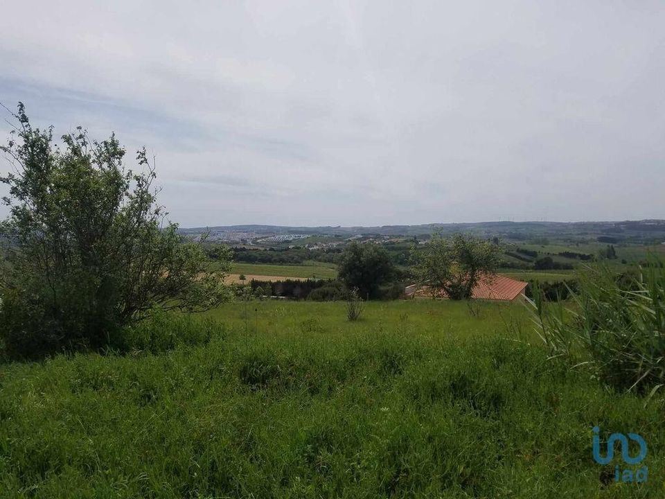 Tomt i Bombarral, Leiria - bilde 5