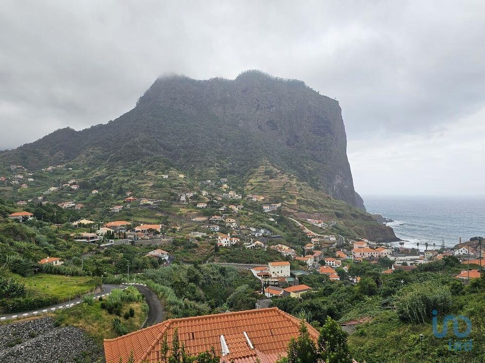 Tomt i Machico, Madeira - bilde 1