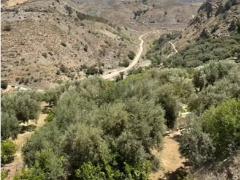 Finca i Izbor, Granada - foto 3