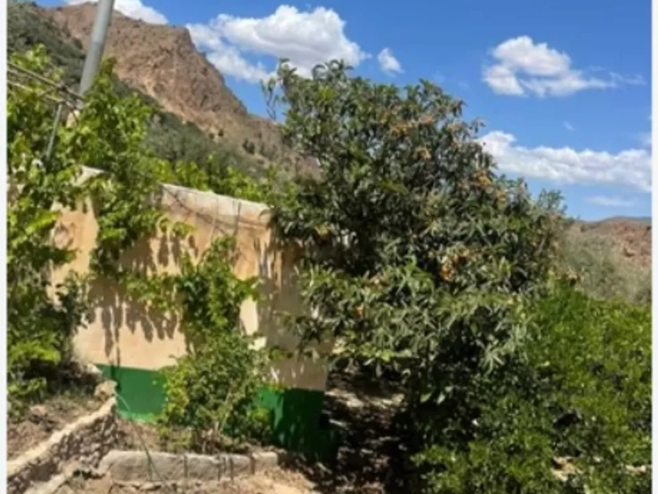 Finca i Izbor, Granada - foto 1