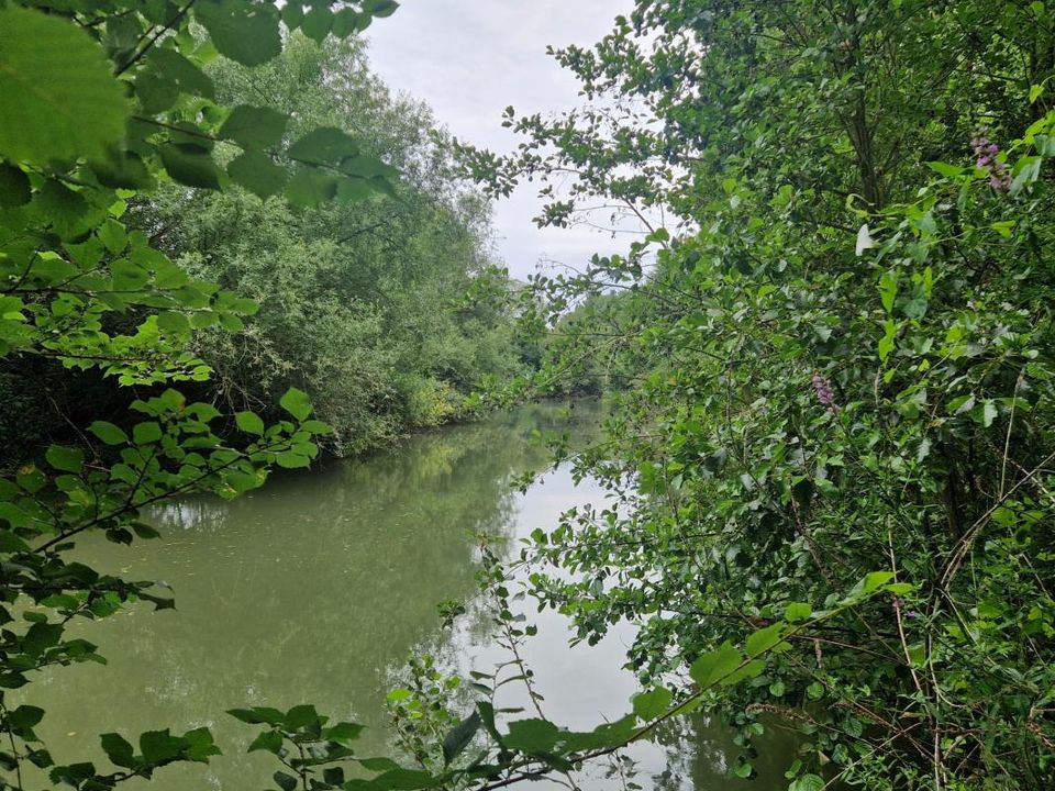 Helårsgrund i Champagne, Sarthe - foto 2