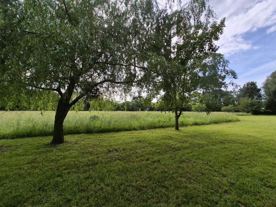Terreno en Champagne, Sarthe - foto 3