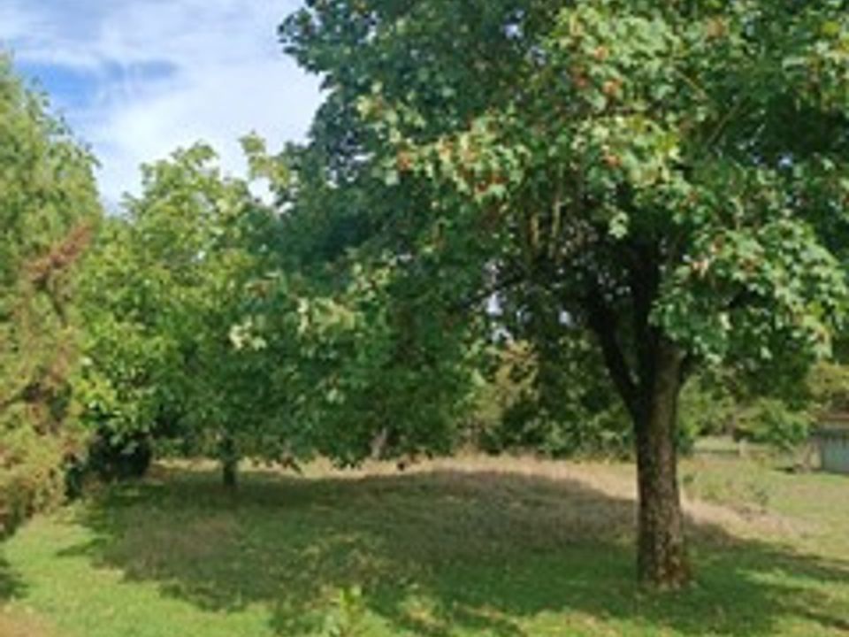 Helårsgrund i Laval, Mayenne - foto 5
