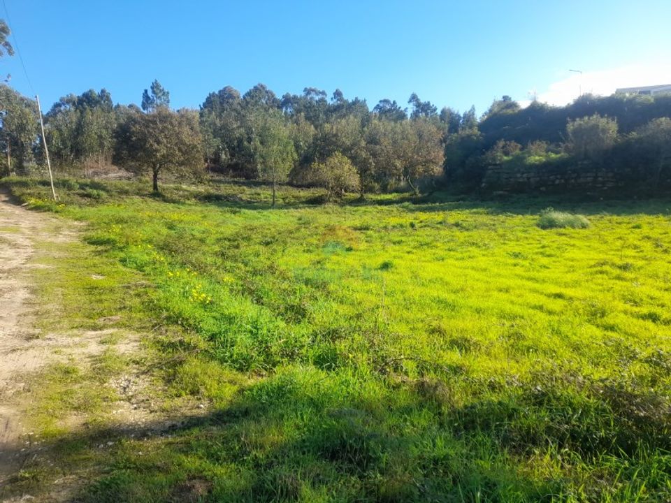 Helårsgrund i Mafra, Lisbon - foto 1