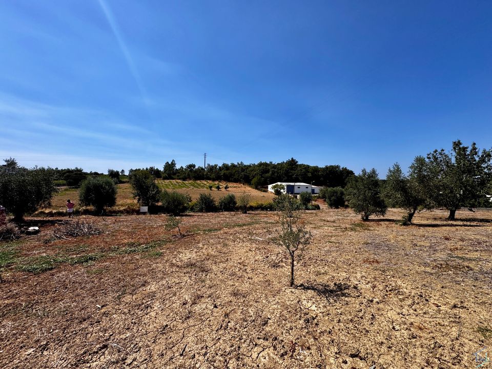 Helårsgrund i Ferreira do Zezere, Santarem - foto 2