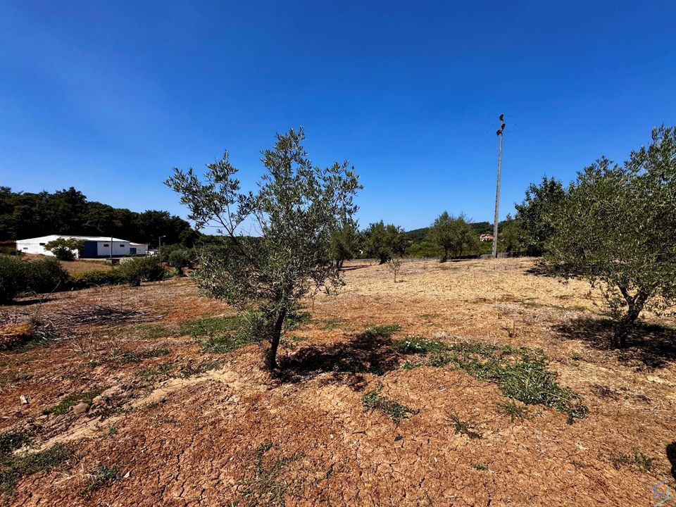 Helårsgrund i Ferreira do Zezere, Santarem - foto 3