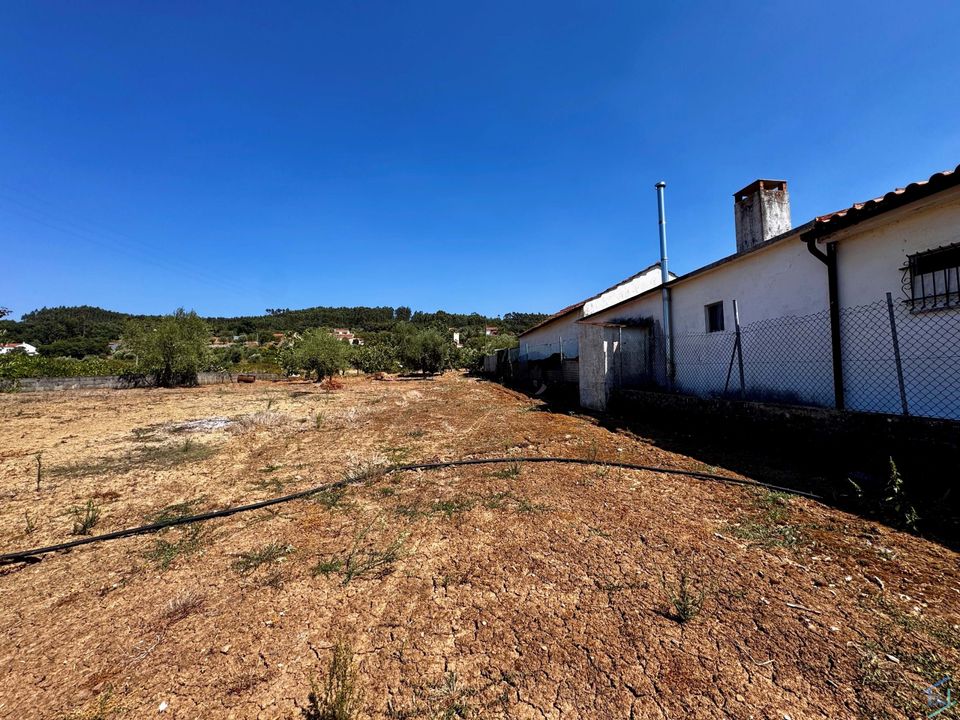 Helårsgrund i Ferreira do Zezere, Santarem - foto 4
