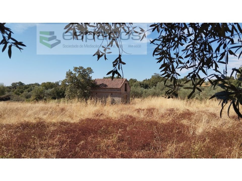 Farm i Salvador, Castelo Branco - foto 1