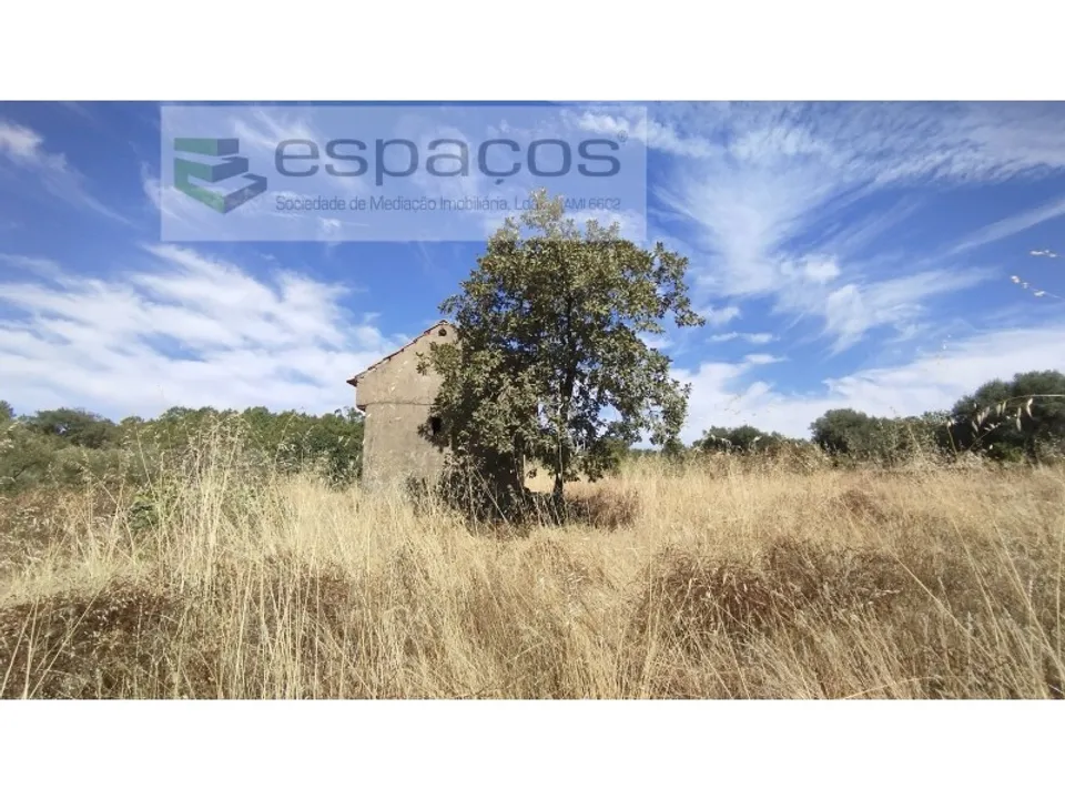 Farm i Salvador, Castelo Branco - foto 3