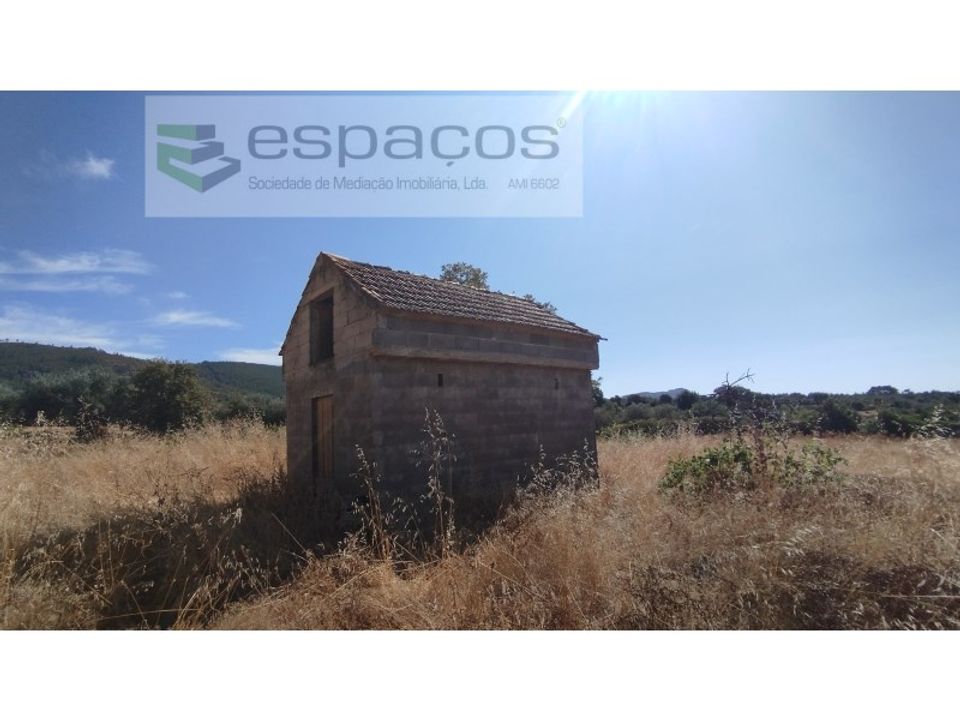Farm i Salvador, Castelo Branco - foto 4