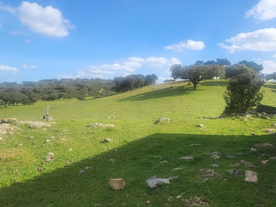 Landejendom i Santiago Maior, Evora - foto 2