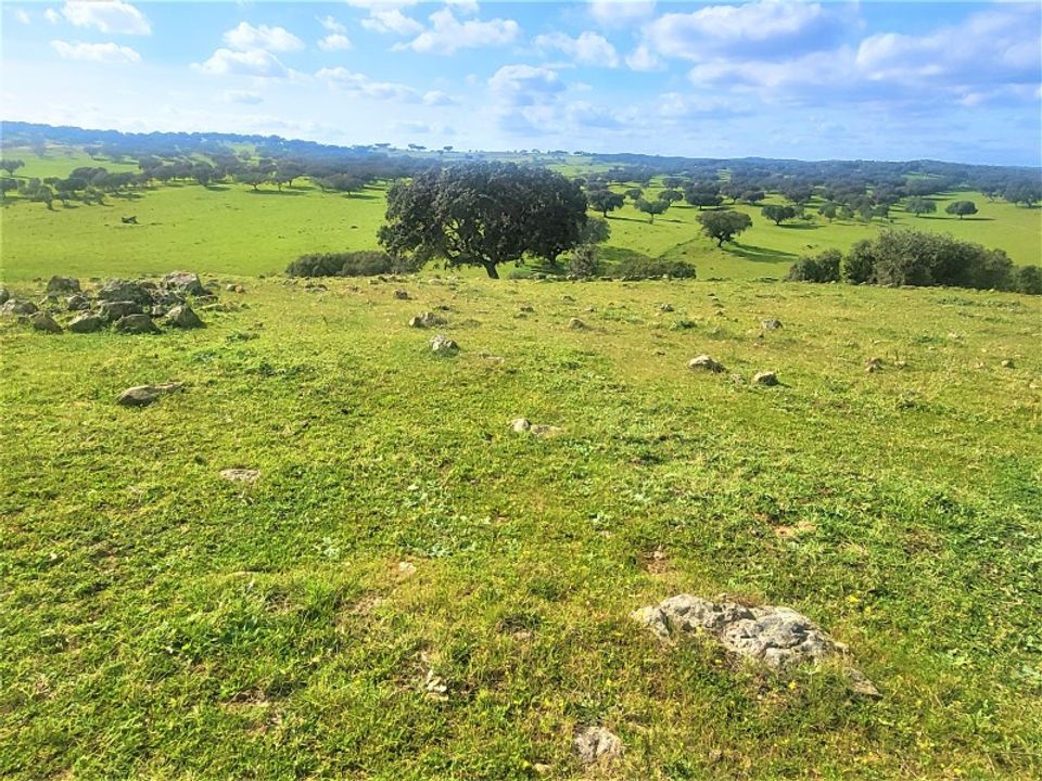 Landejendom i Santiago Maior, Evora - foto 3