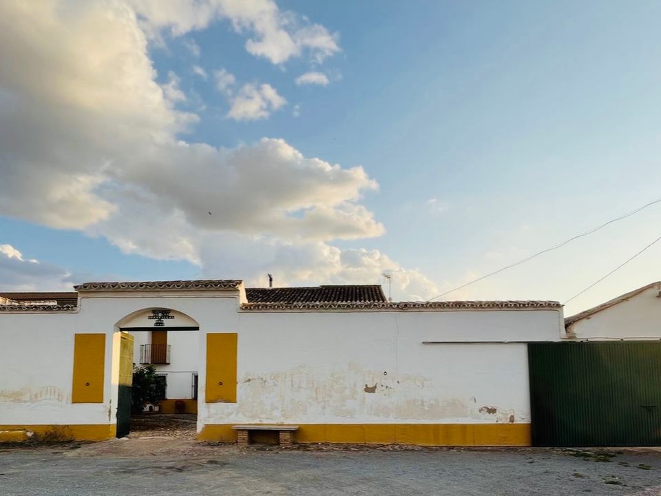Cortijo i Antequera, Malaga - foto 4