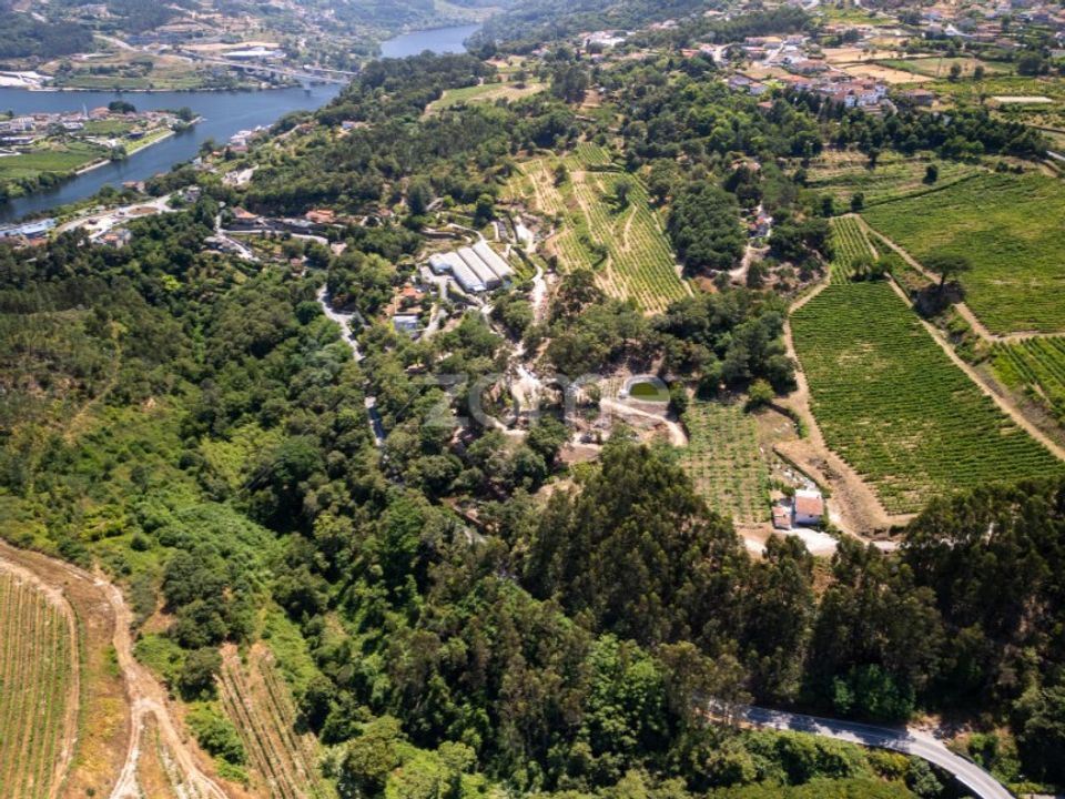 Farm i Rio de Moinhos, Porto - foto 2