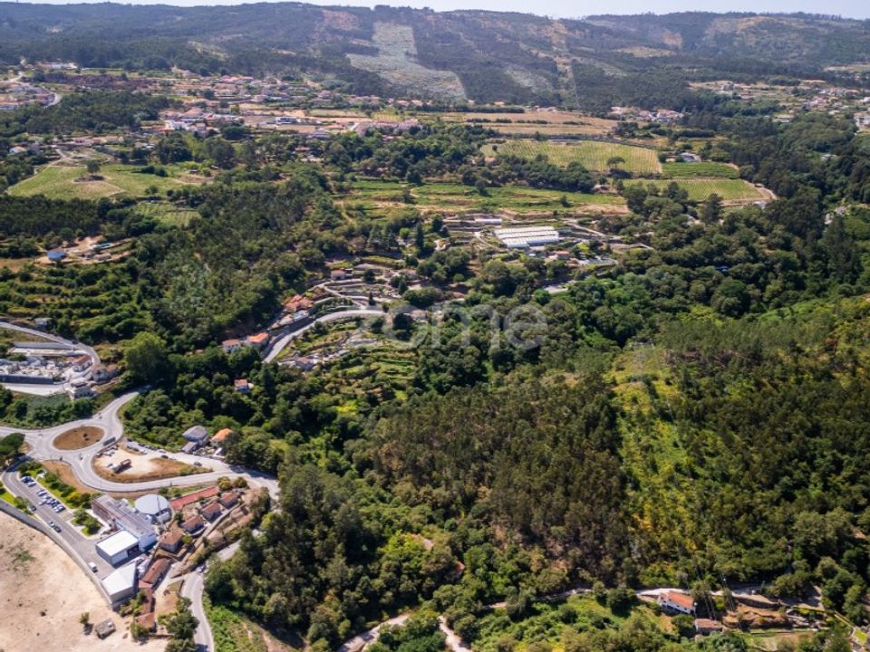 Farm i Rio de Moinhos, Porto - foto 3