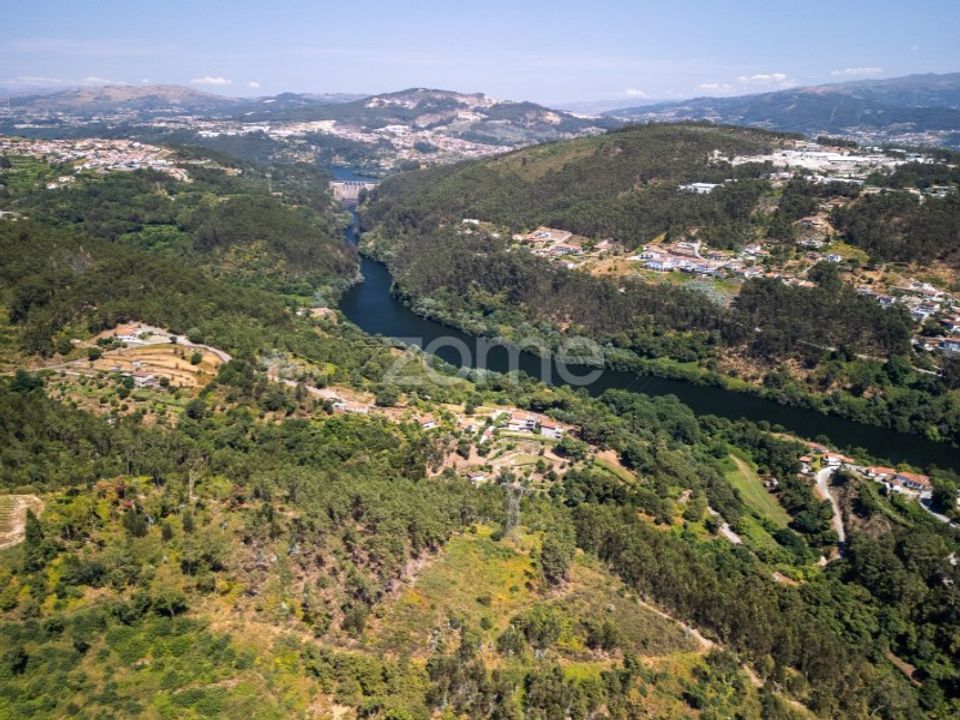 Gospodarstwo: Rio de Moinhos, Porto – zdjęcie 1