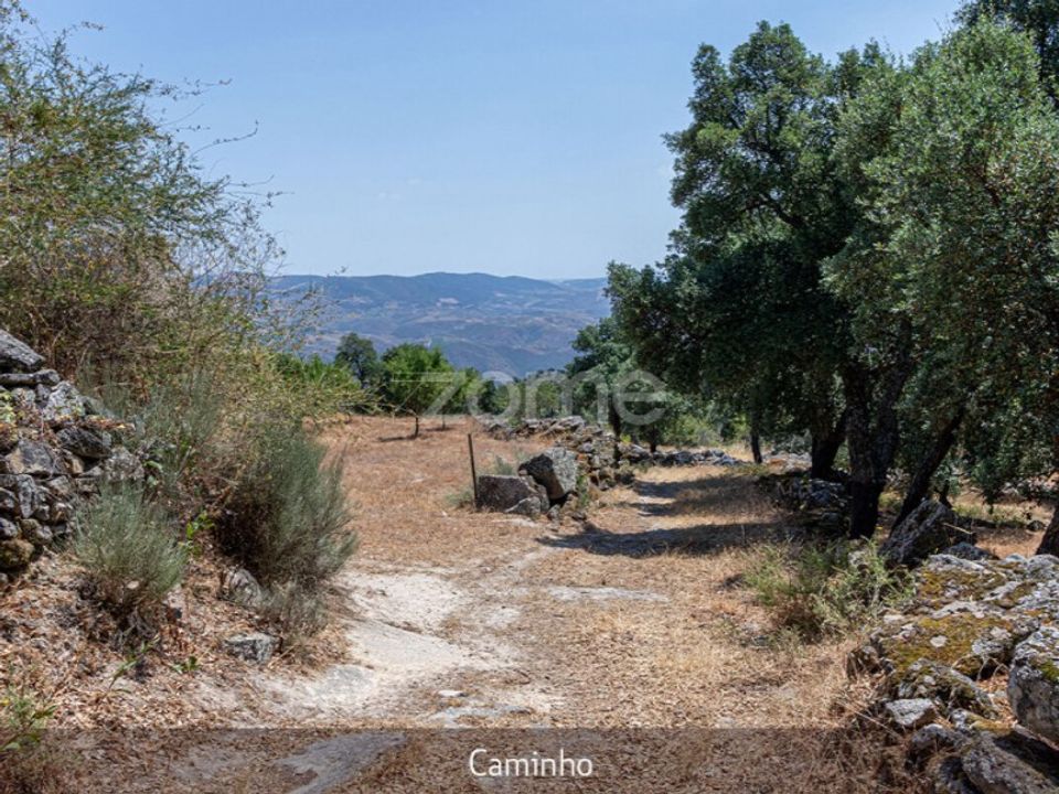 Farm i Loures, Lisbon - foto 3
