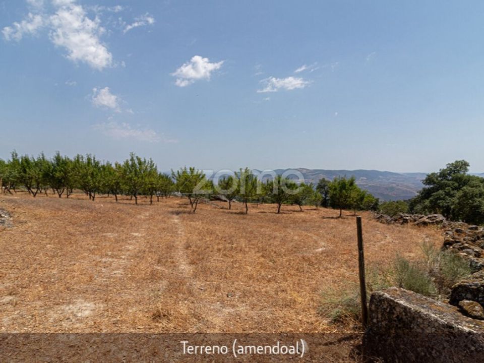 Farm i Loures, Lisbon - foto 4