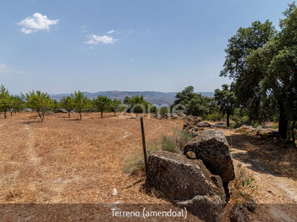 Farm i Loures, Lisbon - foto 5