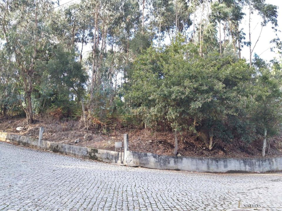 Helårsgrund i Vila do Conde, Porto - foto 1