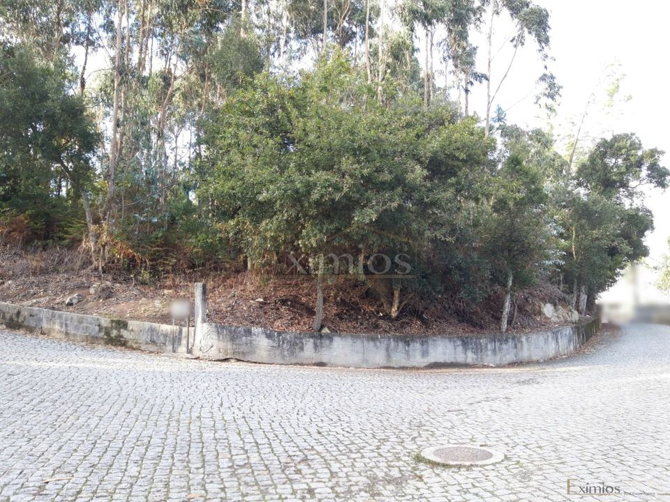 Helårsgrund i Vila do Conde, Porto - foto 2