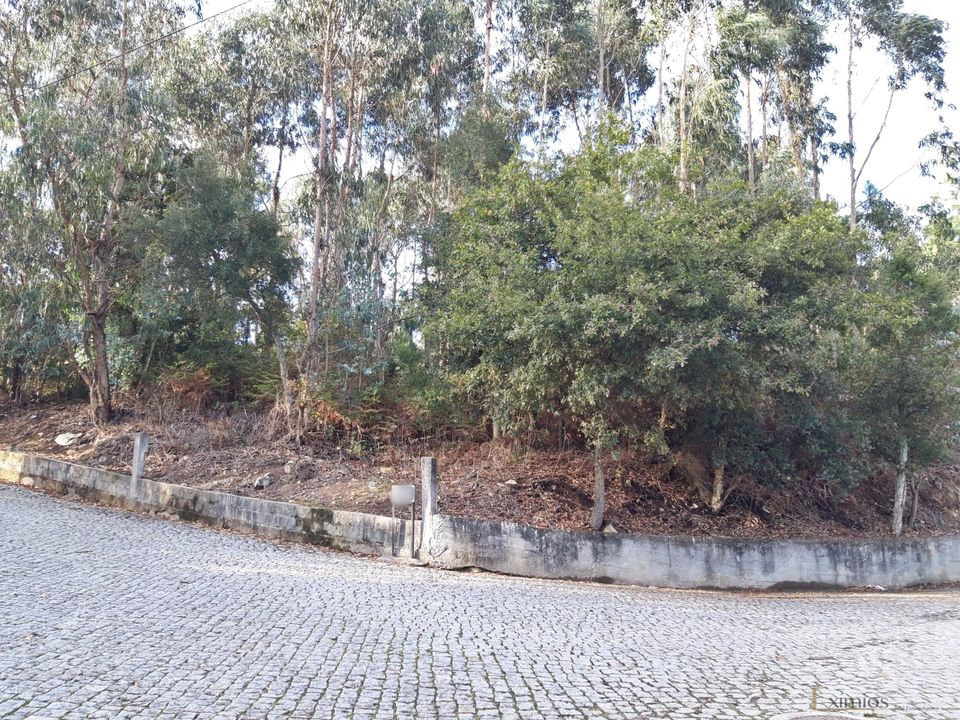Helårsgrund i Vila do Conde, Porto - foto 4