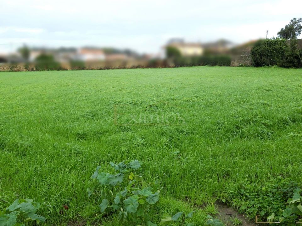 Helårsgrund i Vila do Conde, Porto - foto 2
