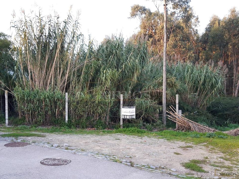 Helårsgrund i Povoa de Varzim, Porto - foto 2