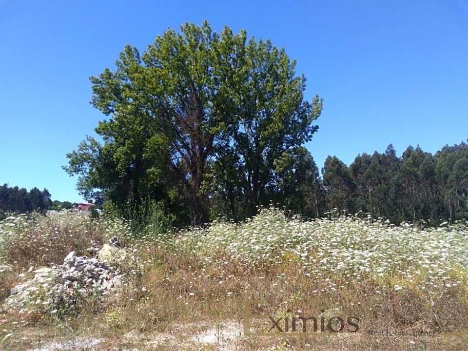 Helårsgrund i Vila do Conde, Porto - foto 2