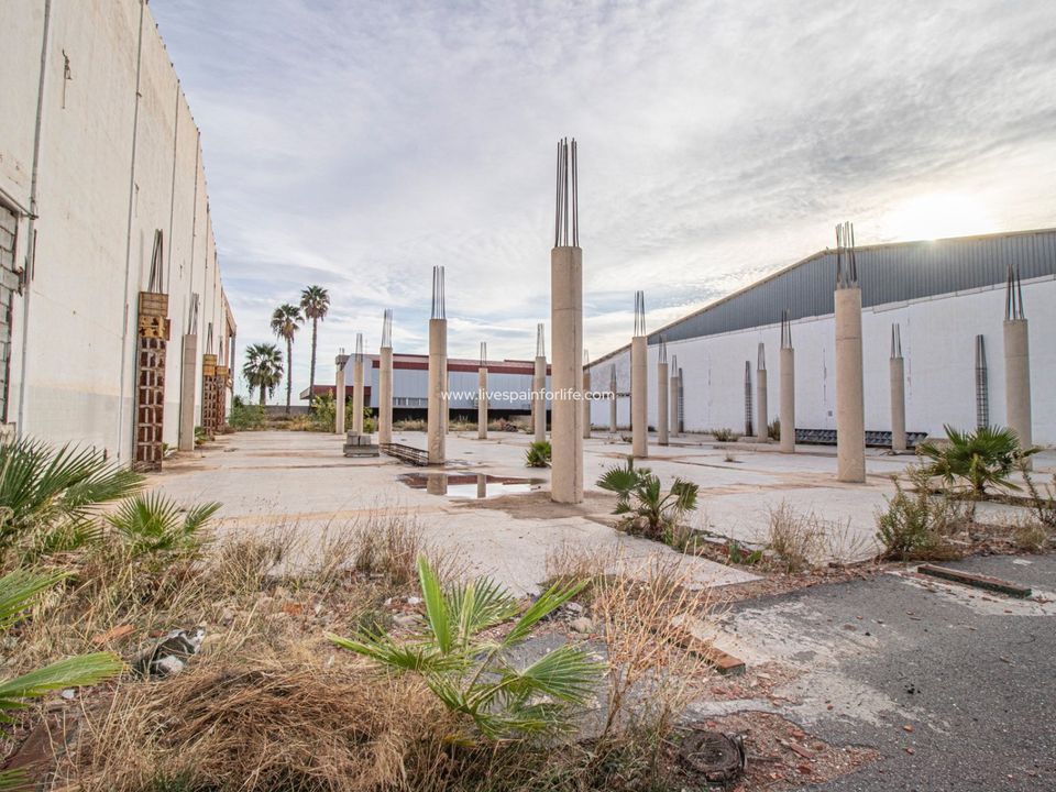 Erhvervsejendom i Elche, Alicante - foto 2