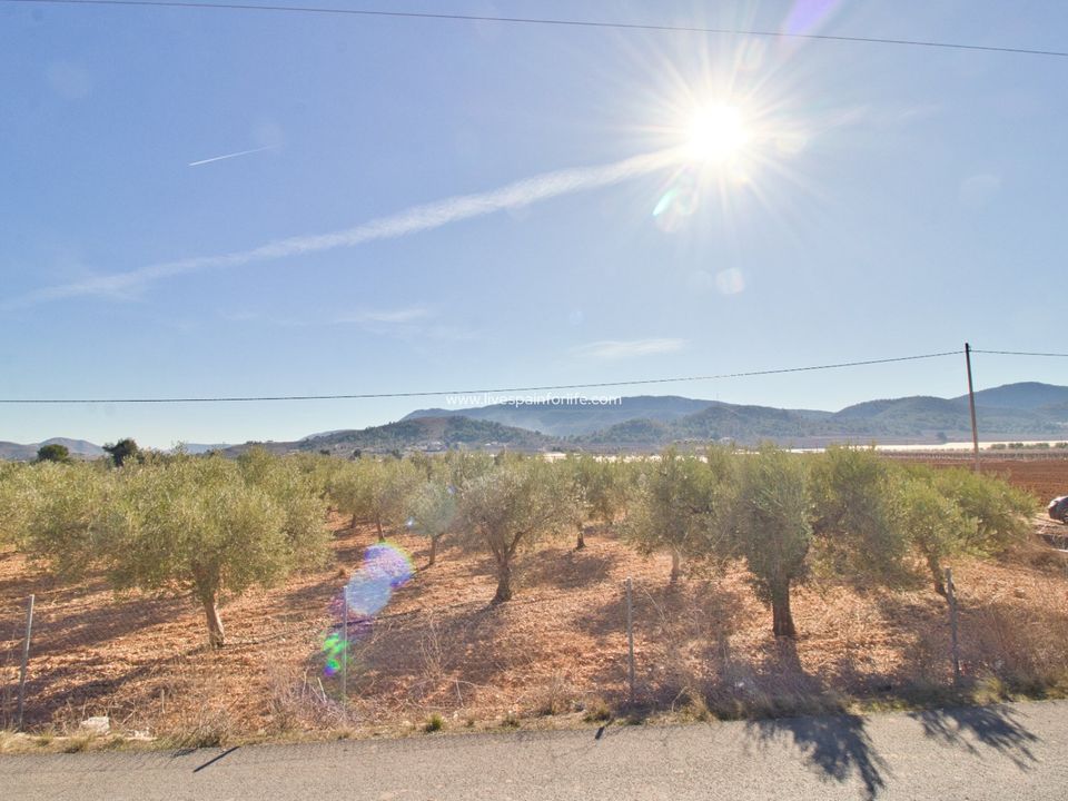 Helårsgrund i Hondon De Las Nieves, Alicante - foto 1