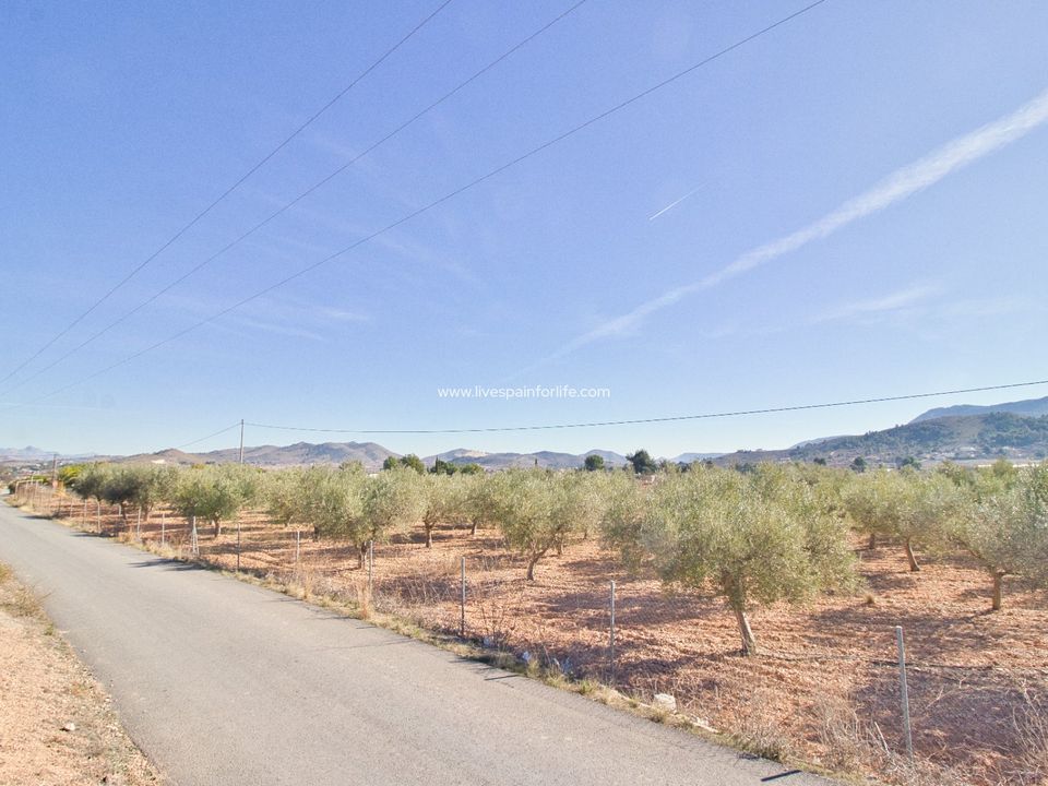 Helårsgrund i Hondon De Las Nieves, Alicante - foto 2