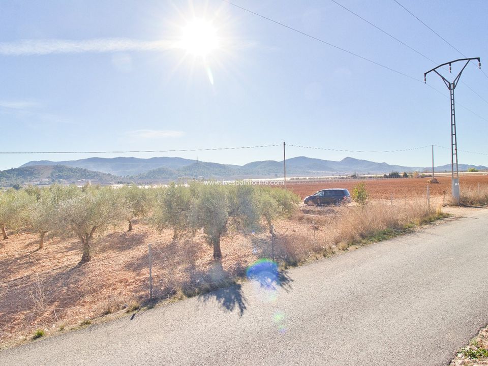 Helårsgrund i Hondon De Las Nieves, Alicante - foto 3