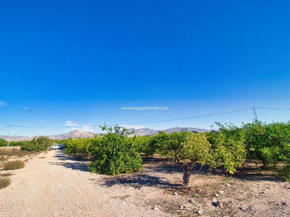 Helårsgrund i Albatera, Alicante - foto 2