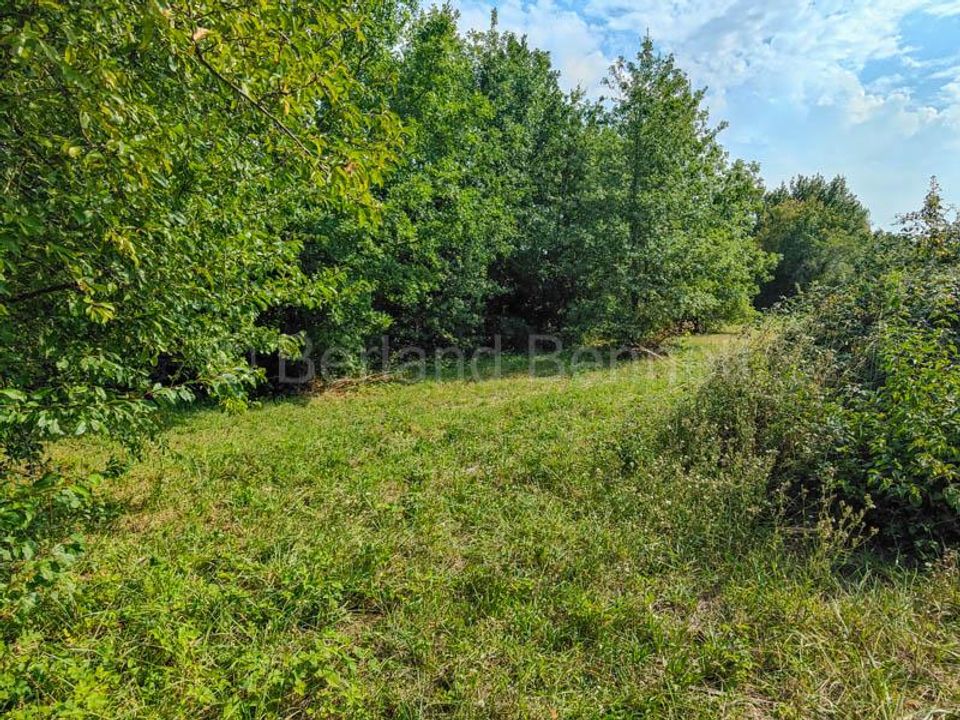 Landejendom i Sauze-Vaussais, Deux-Sevres - foto 5