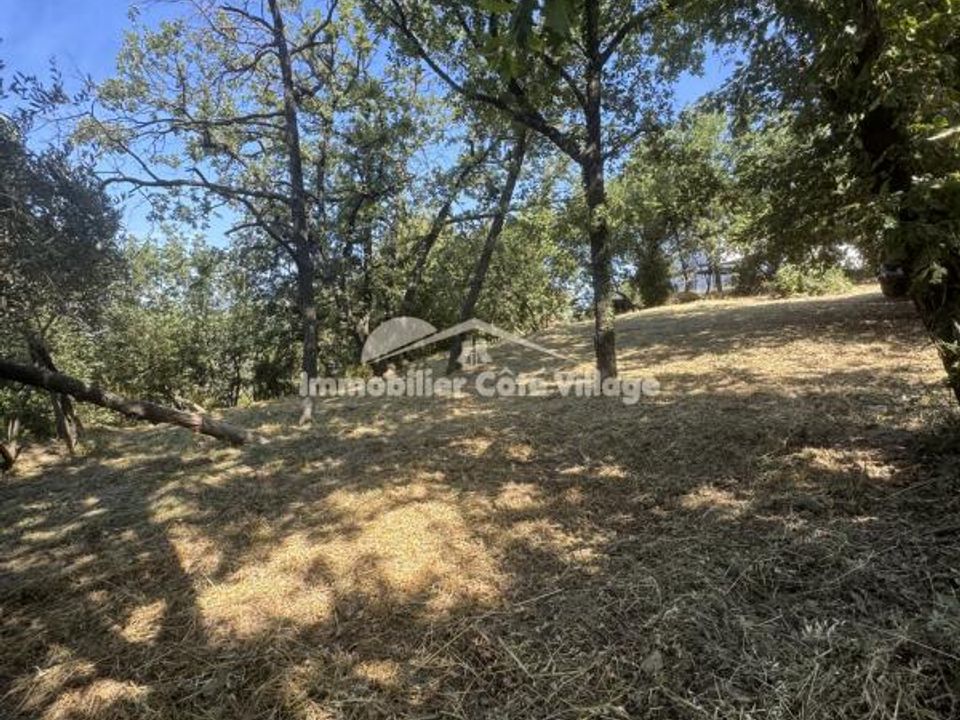 Grond in Contes, Alpes-Maritimes - foto 1