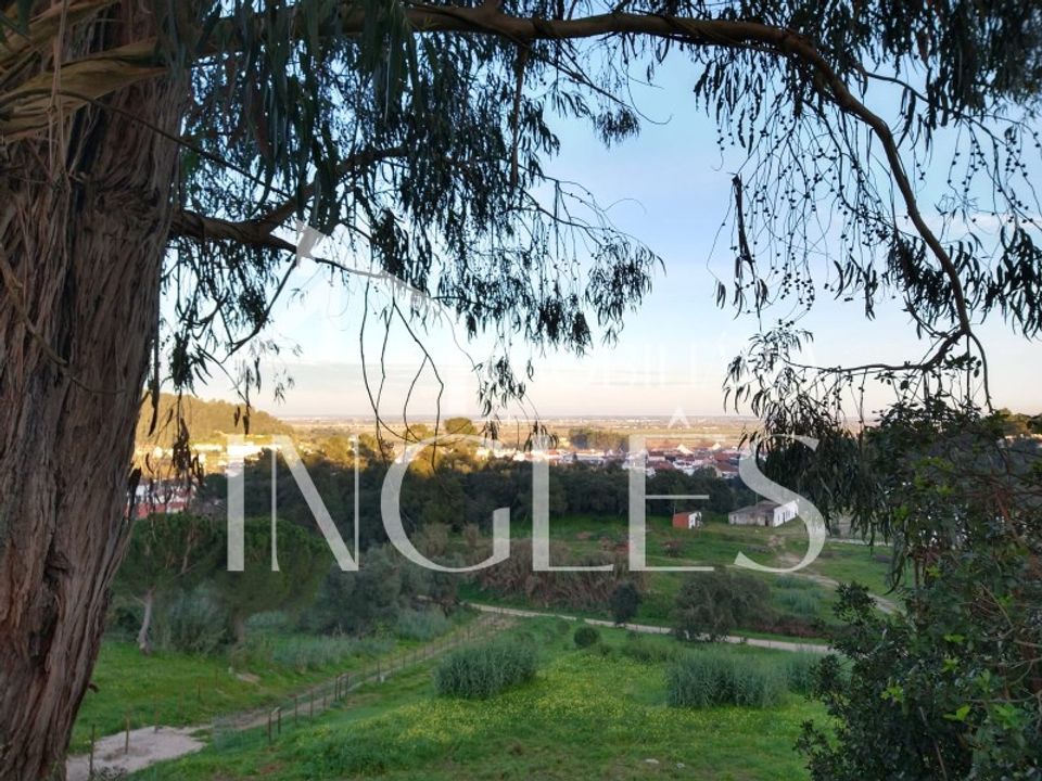 Helårsgrund i Vale de Santarem, Santarem - foto 4