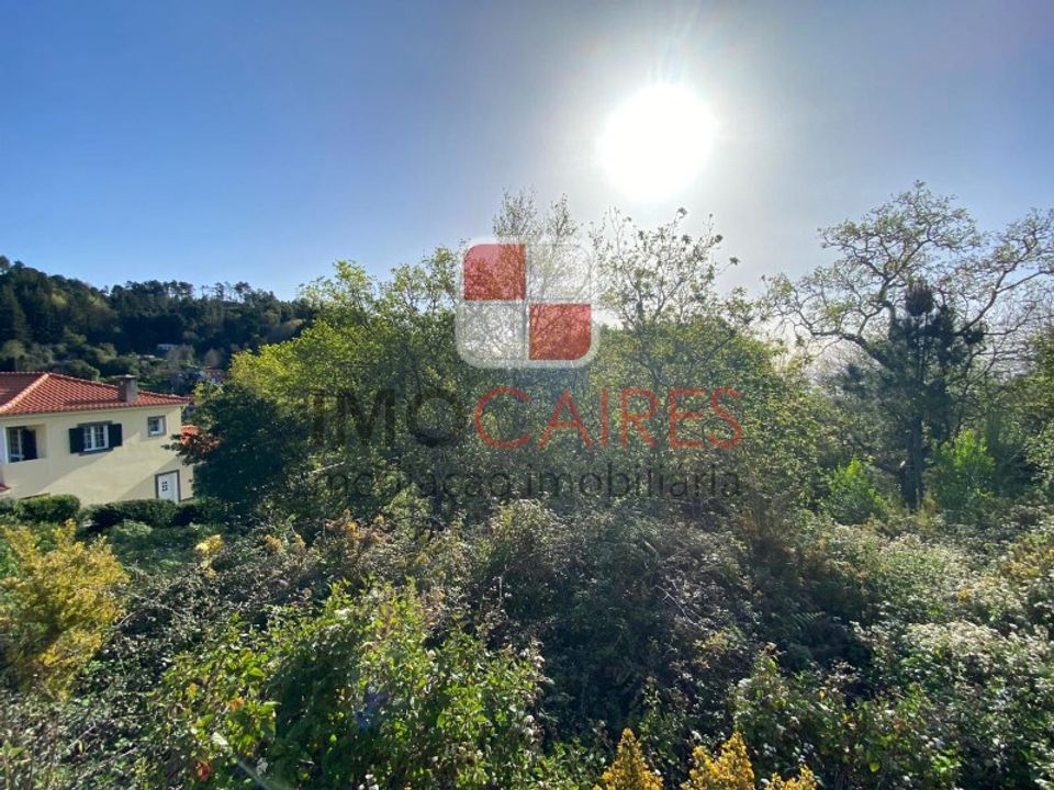 Helårsgrund i Camacha, Madeira - foto 1