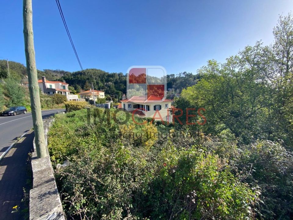 Helårsgrund i Camacha, Madeira - foto 4