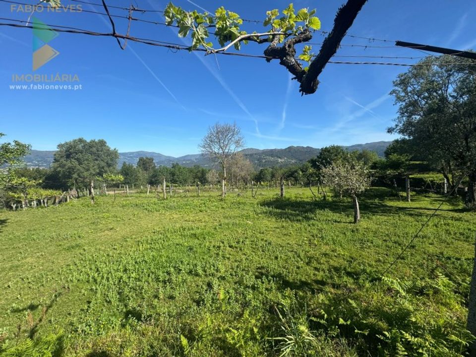 Villa i Azere, Viana do Castelo - foto 3