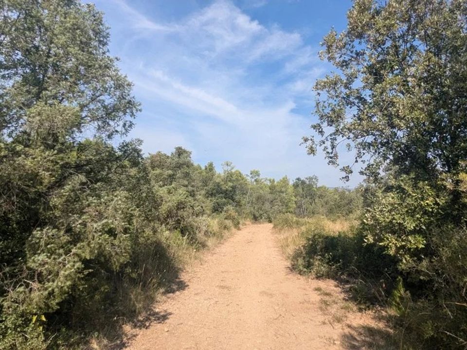 Działka: Carcès, Var – zdjęcie 2