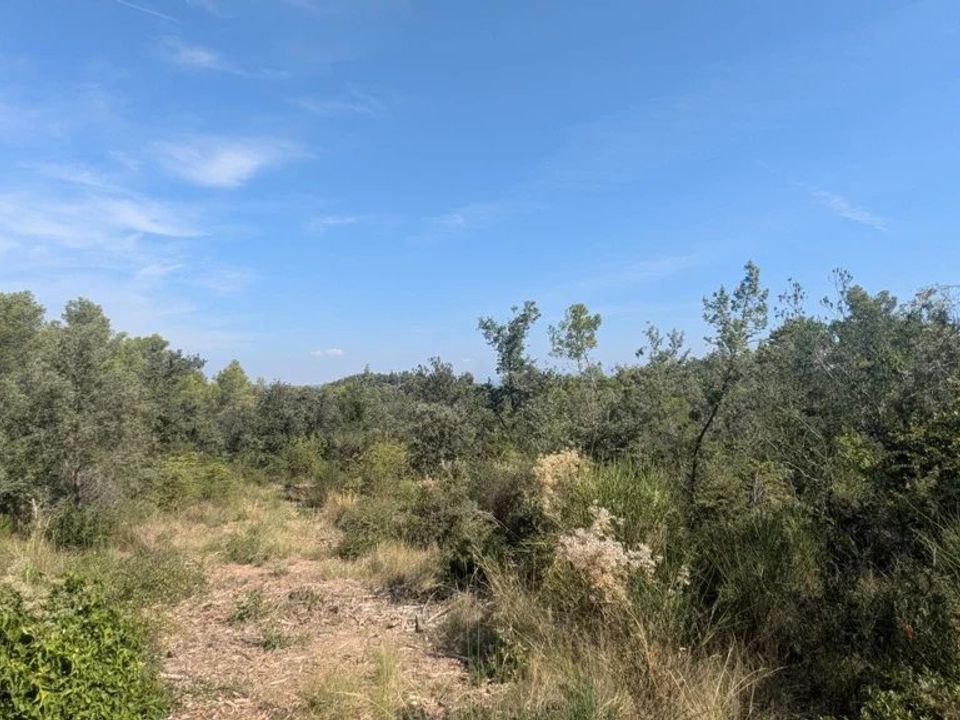 Działka: Carcès, Var – zdjęcie 3