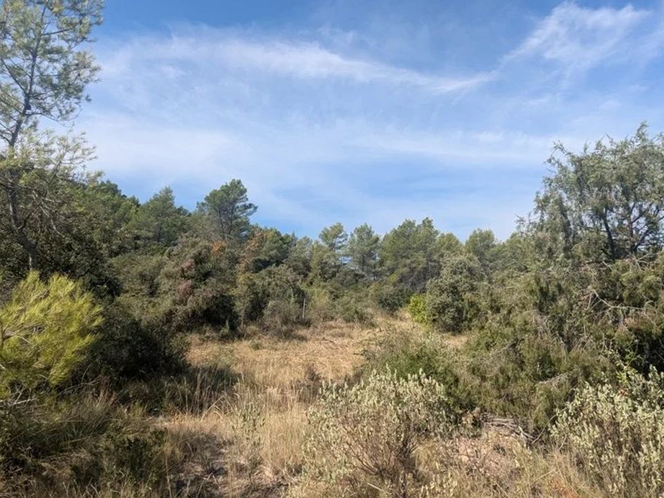Działka: Carcès, Var – zdjęcie 4